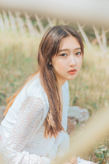 大剑在线观看